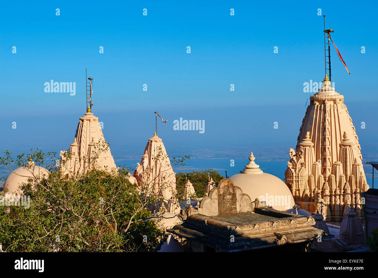 India, Gujarat, Palitana, Shatrunjaya temple Stock Photo