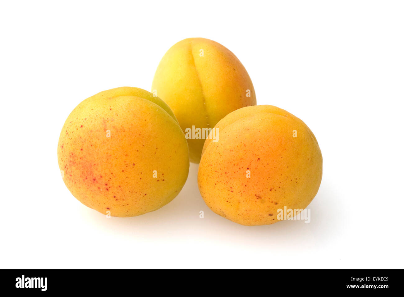 Aprikose, Prunus armeniaca, Heilpflanzen, Fruechte, Obst, Stock Photo