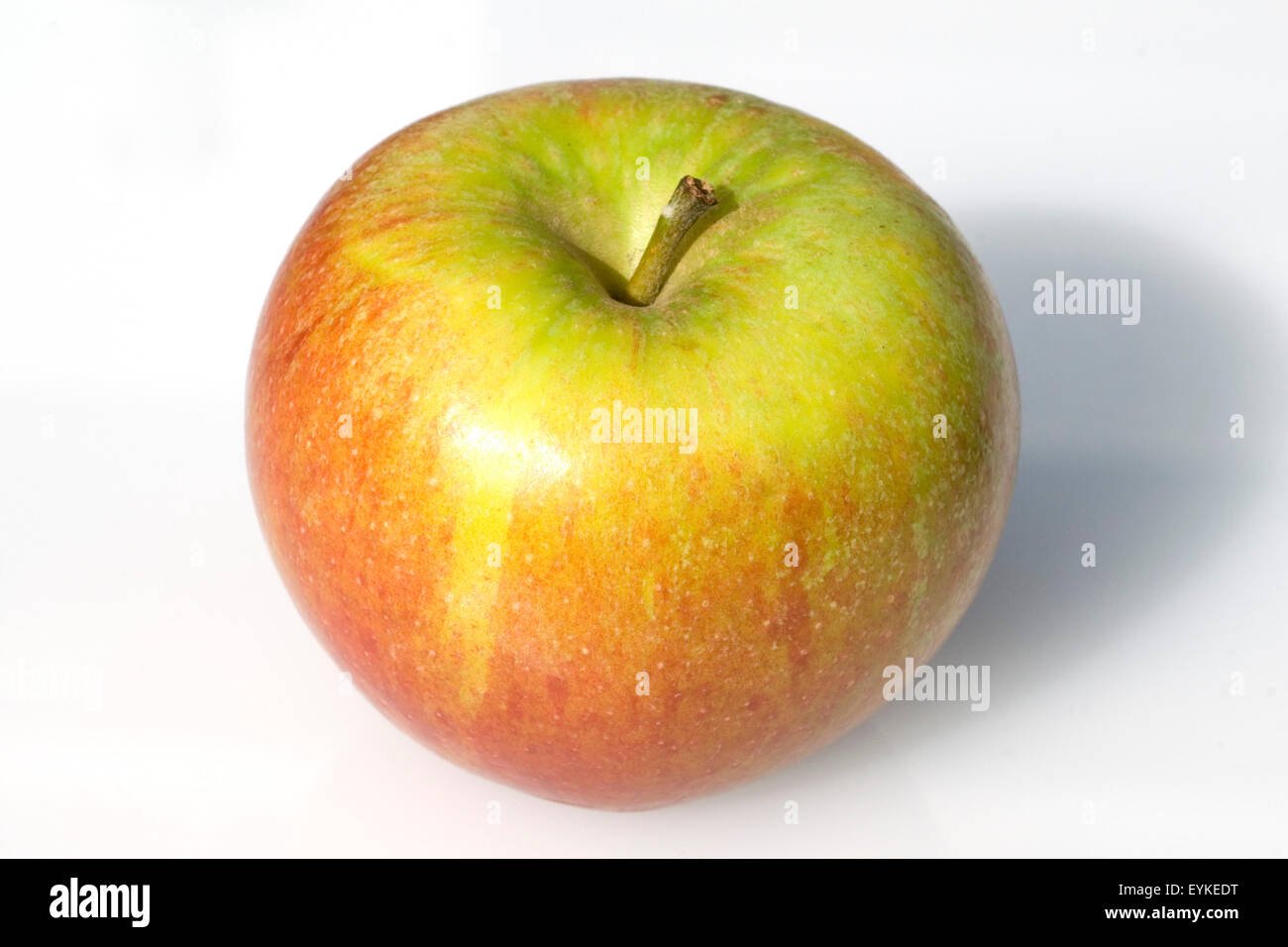 Cox Orange; Apfel; Malus domestica, Apfelsorte, Apfel, Kernobst, Obst, Stock Photo