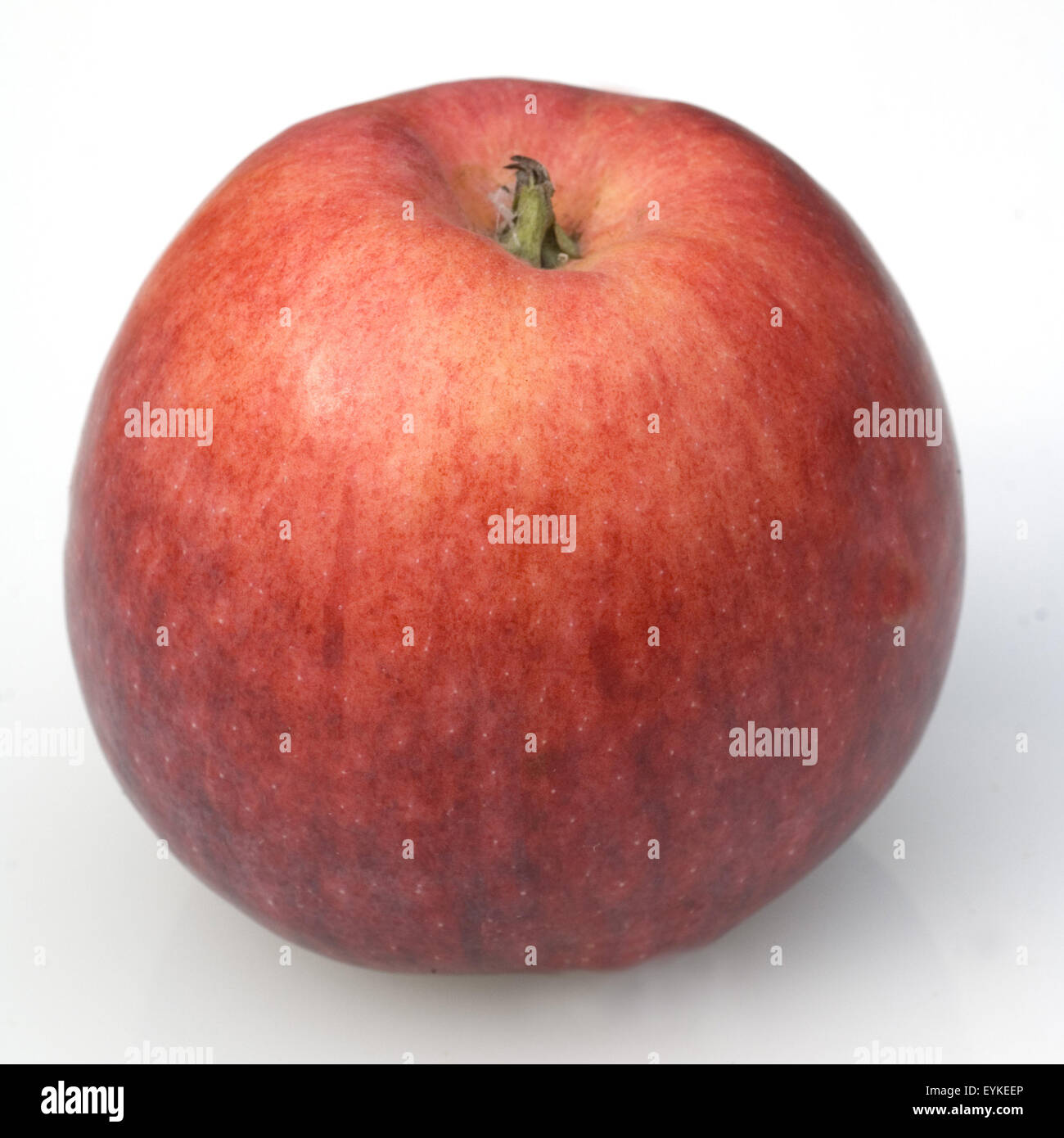 Early Blaze Apfel, Apfelsorte, Apfel, Kernobst, Obst Stock Photo - Alamy