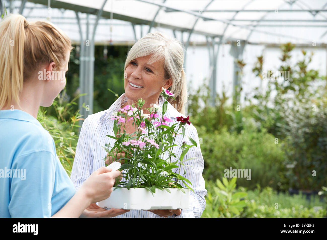 Staff Giving Plant Advice To Female Customer At Garden Center Stock Photo