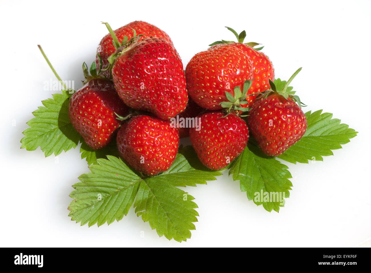 Erdbeere, Fragaria x ananassa, Beerenobst, Stock Photo