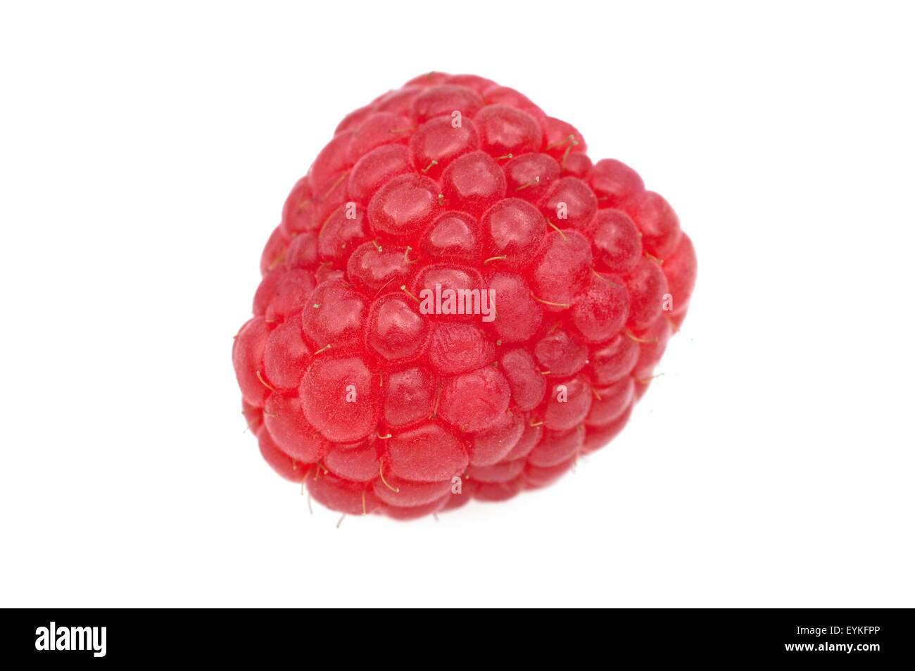 Himbeere; Rubus, idaeus; Waldbeere; Hohlbeere; Stock Photo