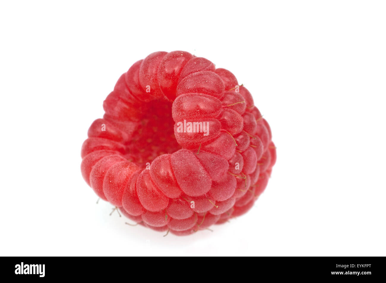 Himbeere; Rubus, idaeus; Waldbeere; Hohlbeere; Stock Photo