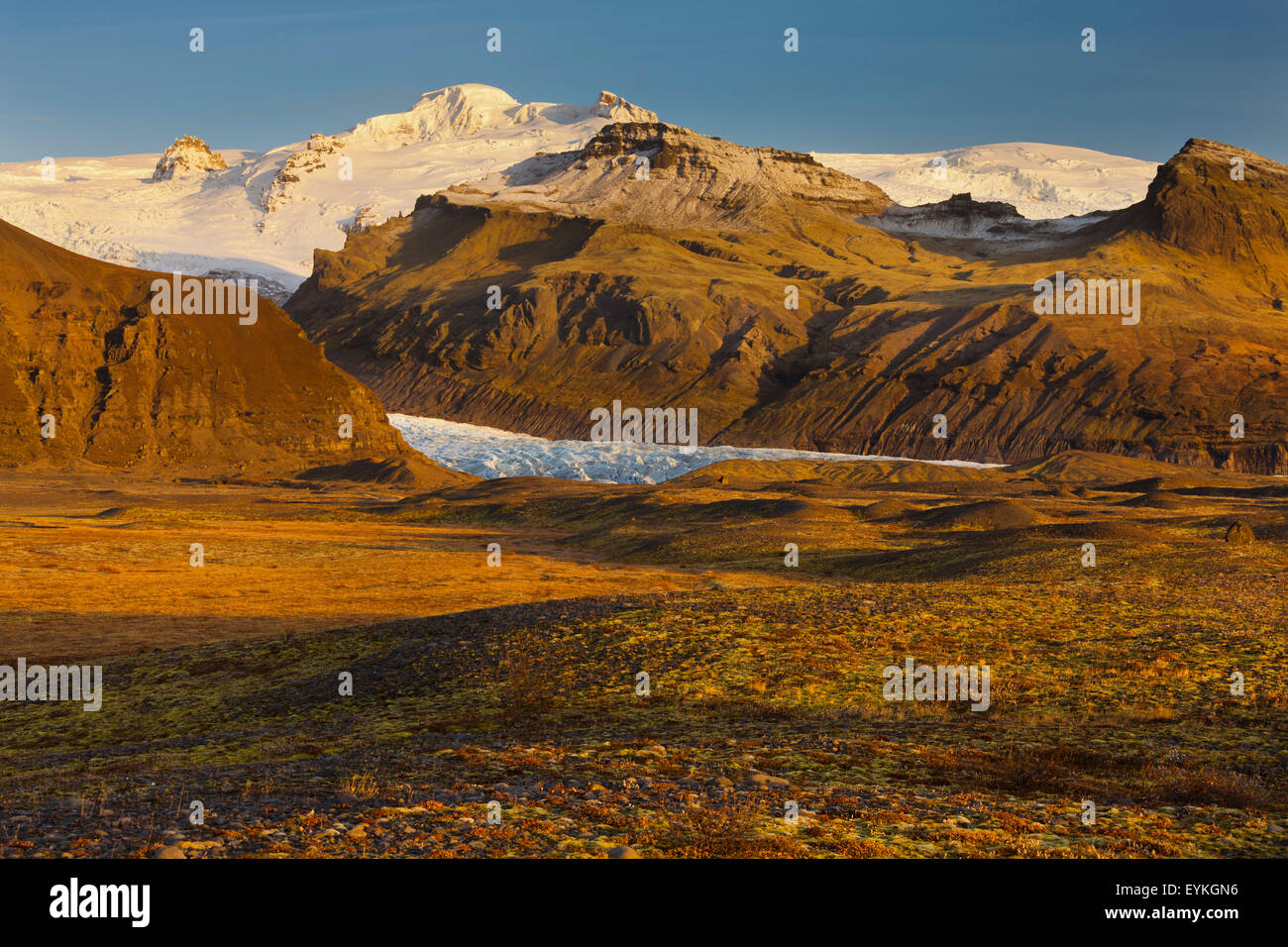 Öraefajökull of the Skaftafell, Ostisland, Iceland Stock Photo - Alamy