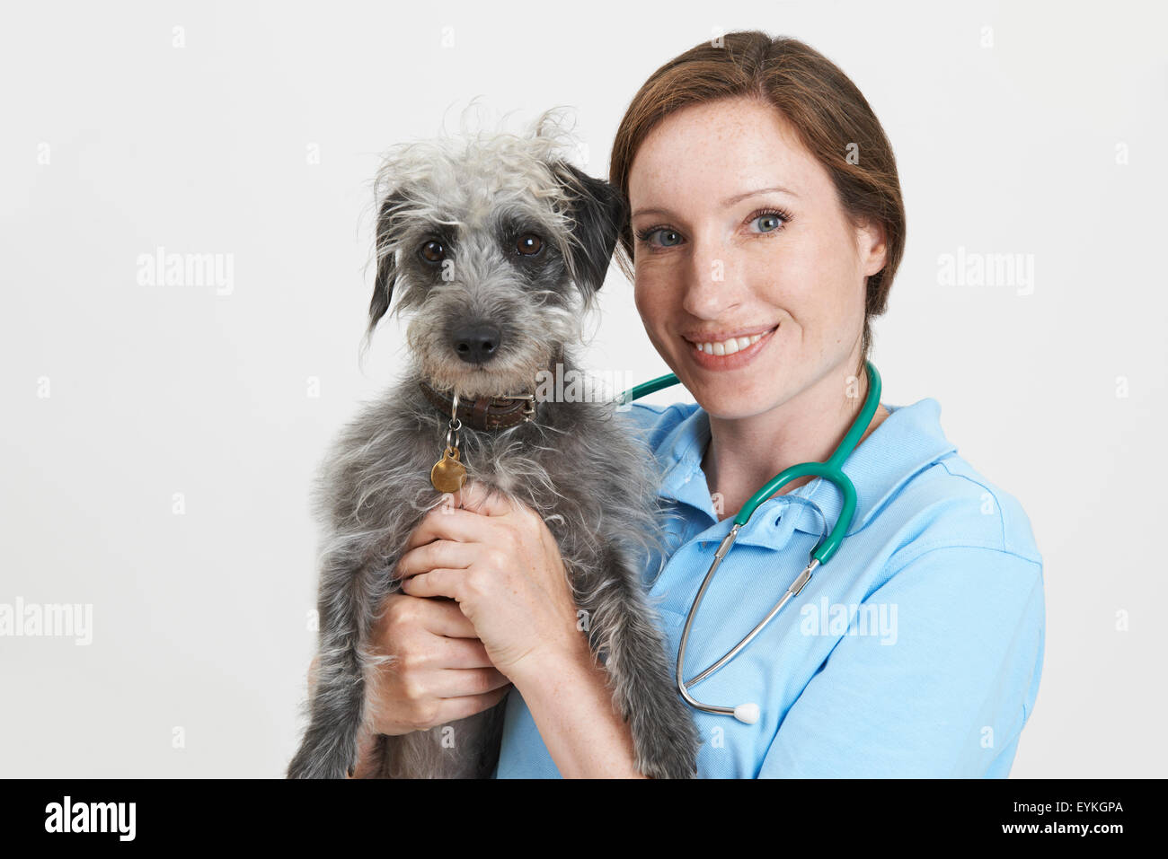 Studio Portrait Of Female Veterinary Surgeon Holding Lurcher Dog Stock Photo
