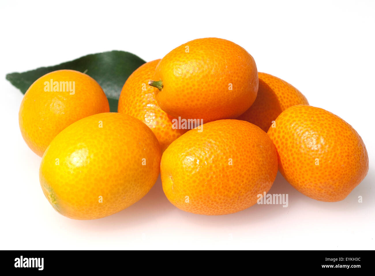 Kumquats; Fortunella; Citrus Stock Photo Alamy