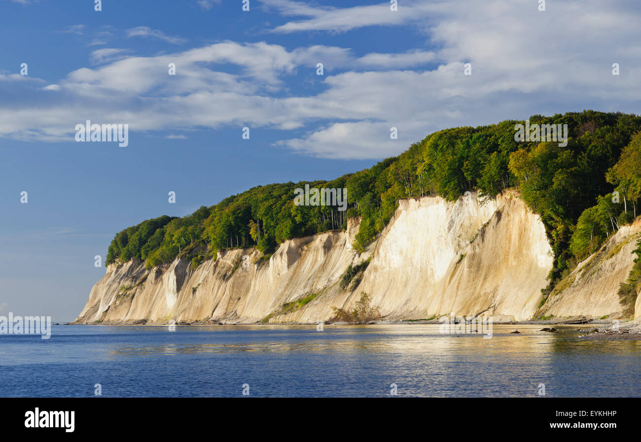 German Cliffs Chalk cliffs, Jasmund National Park, island of Rügen, Mecklenburg ...