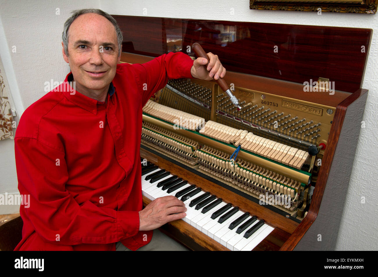 the piano tuner novel the piano tuner novel