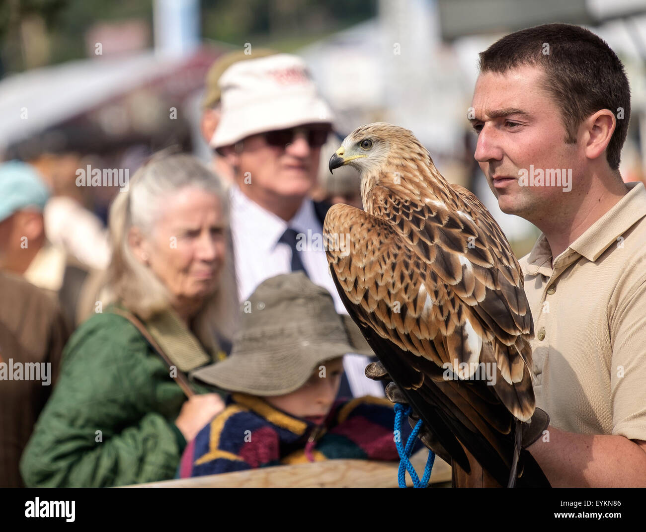 CLA Game Fair 2015 Harewood Stock Photo Alamy