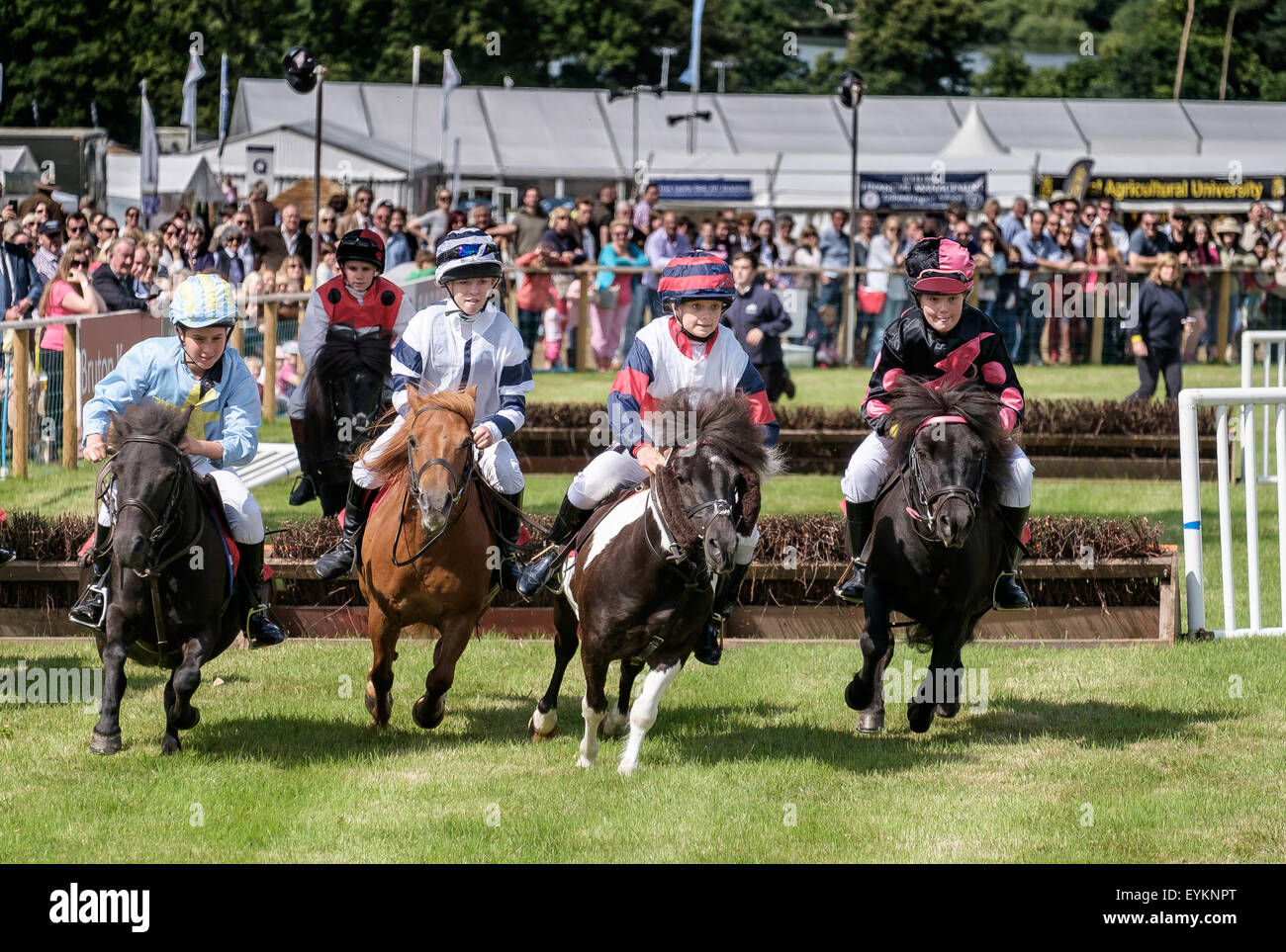 CLA Game Fair 2015 Harewood Stock Photo Alamy