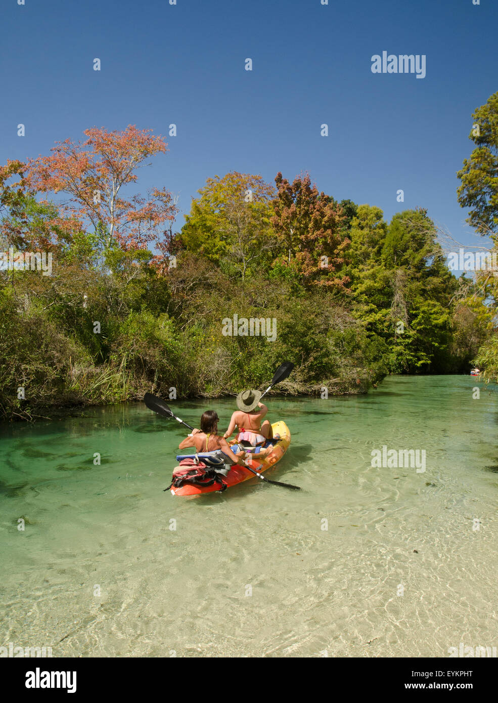 Kayaking on the Weeki Wachee River, Spring Hill Florida Stock Photo
