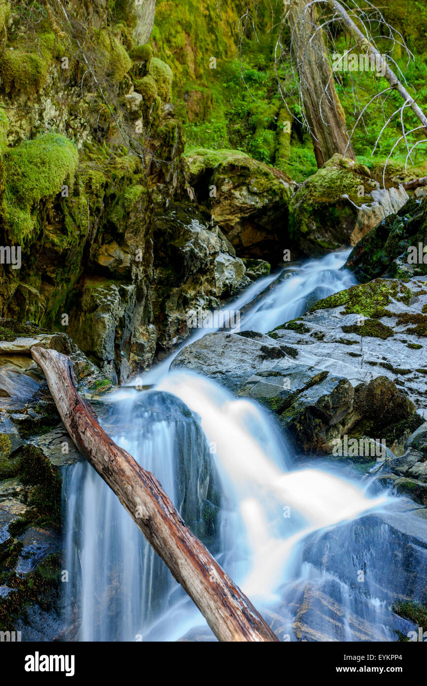 Kootenai falls snow hi-res stock photography and images - Alamy