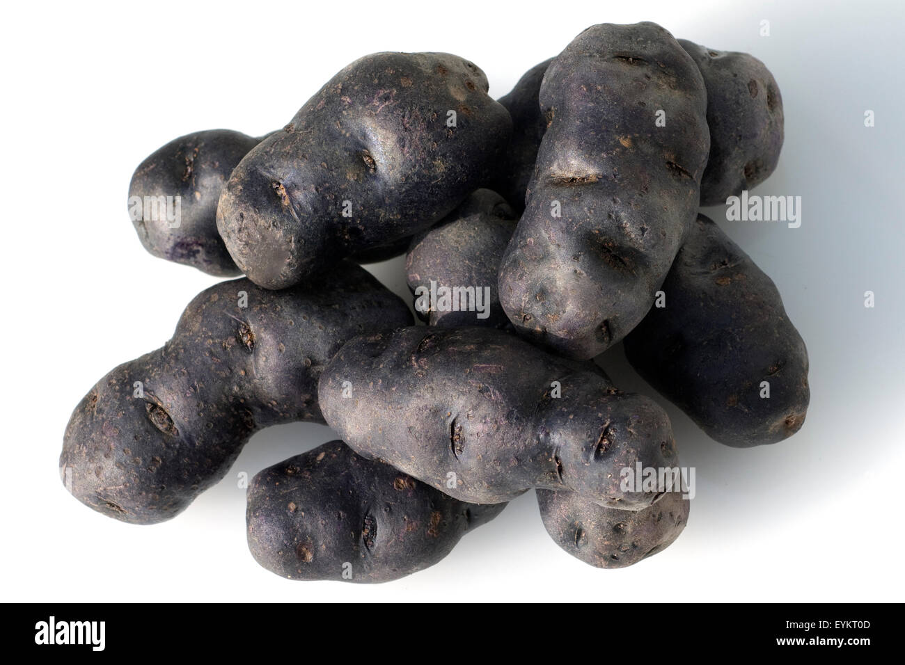 Blauviolette, blaue, Kartoffeln, Vitelotte, Stock Photo