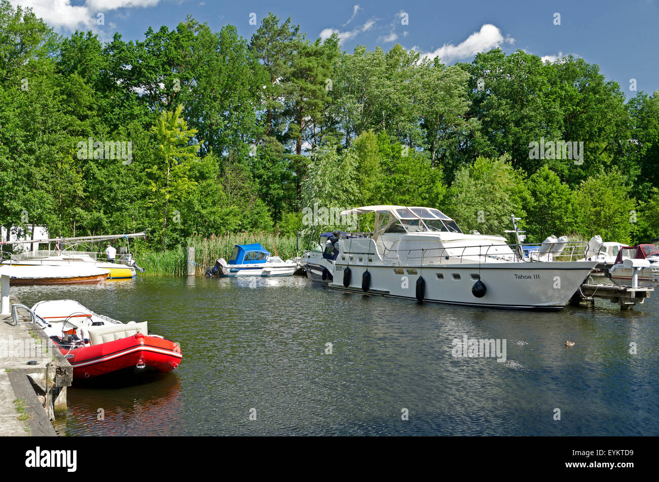 Germany, Brandenburg, Rheinsberg (town), motorboats at the marina, Stock Photo