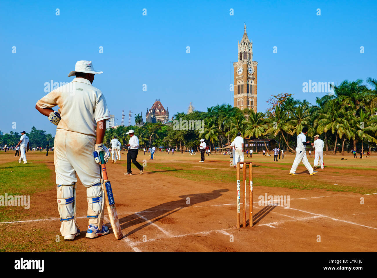 India, Maharashtra, Mumbai (Bombay), cricket party on the Maidan Stock Photo