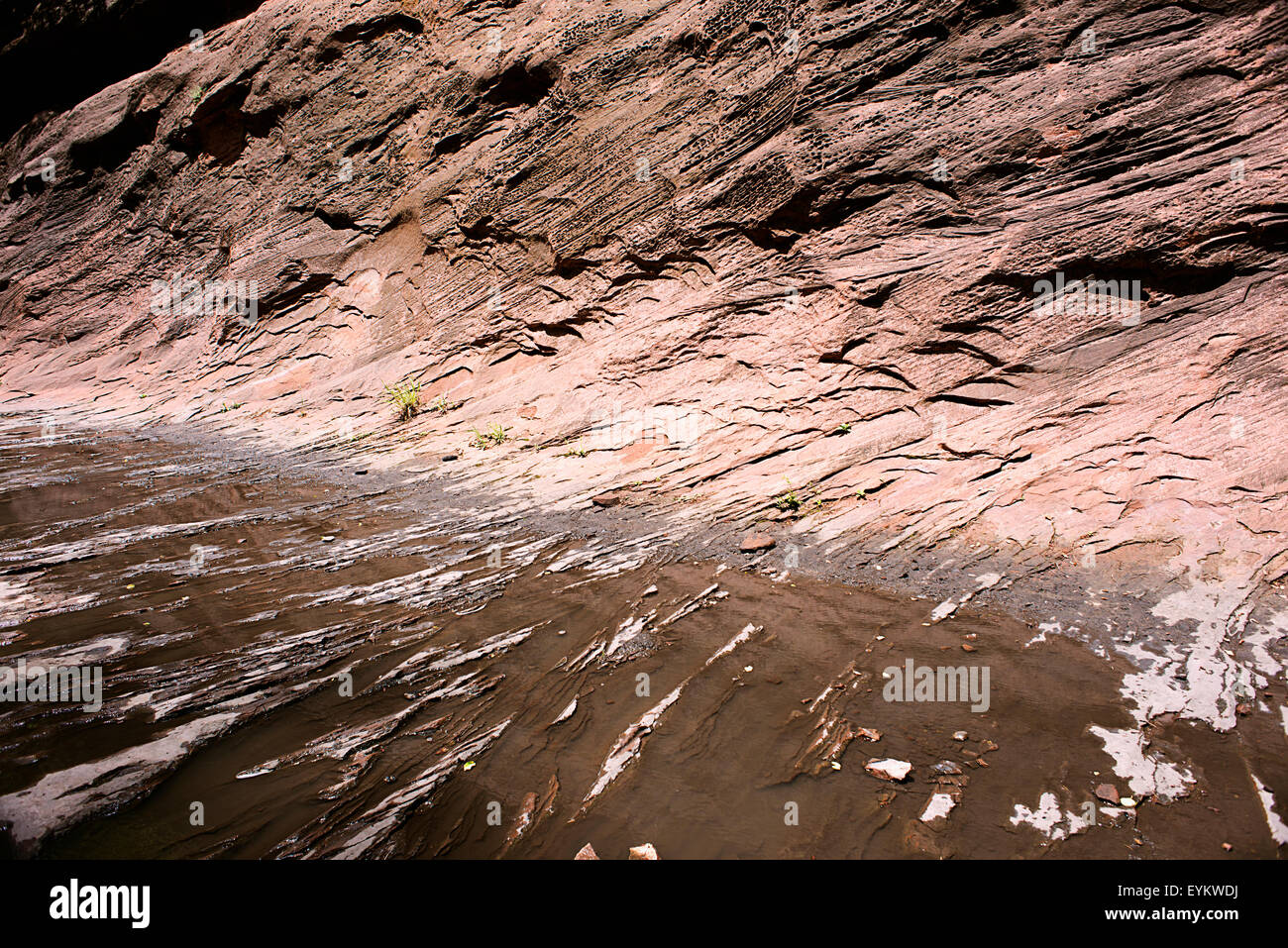 The sandstone creek bed on the West Fork of the Oak Creek trail. Stock Photo