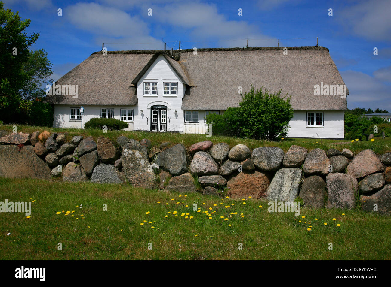 Frisian's house with stone wall in Munkmarsch on Sylt, Stock Photo