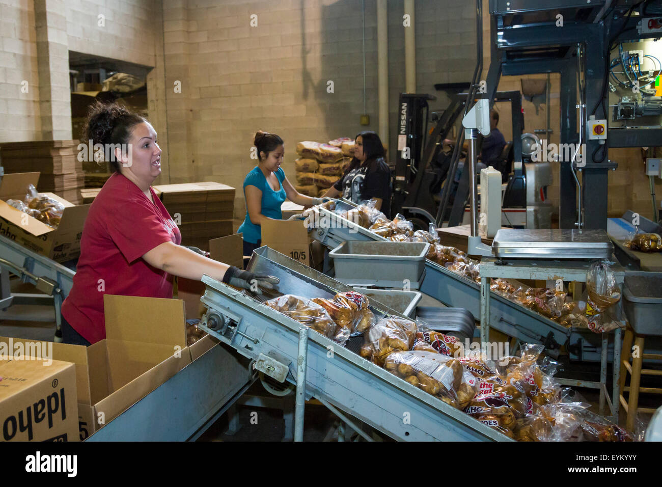 Shelley, Idaho Workers sort and package Idaho potatoes at the GPOD