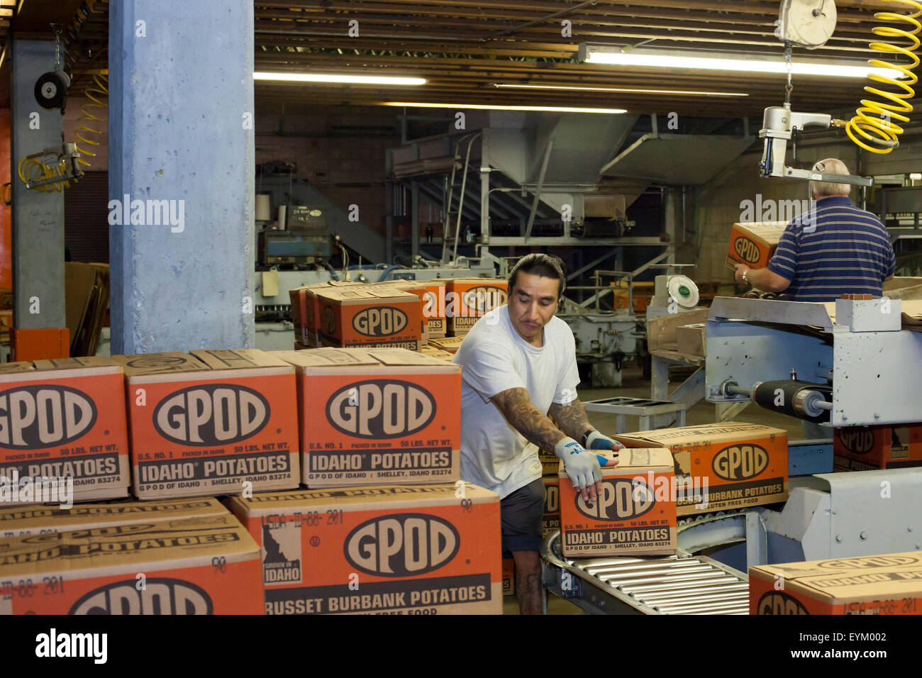 Shelley, Idaho Workers sort and package Idaho potatoes at the GPOD
