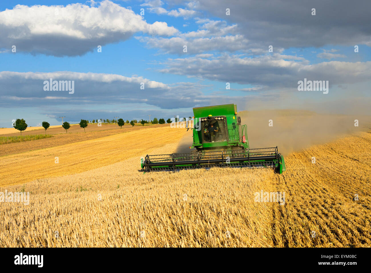 Germany, Saxony-Anhalt, hall circle, combine harvester, harvest, Stock Photo