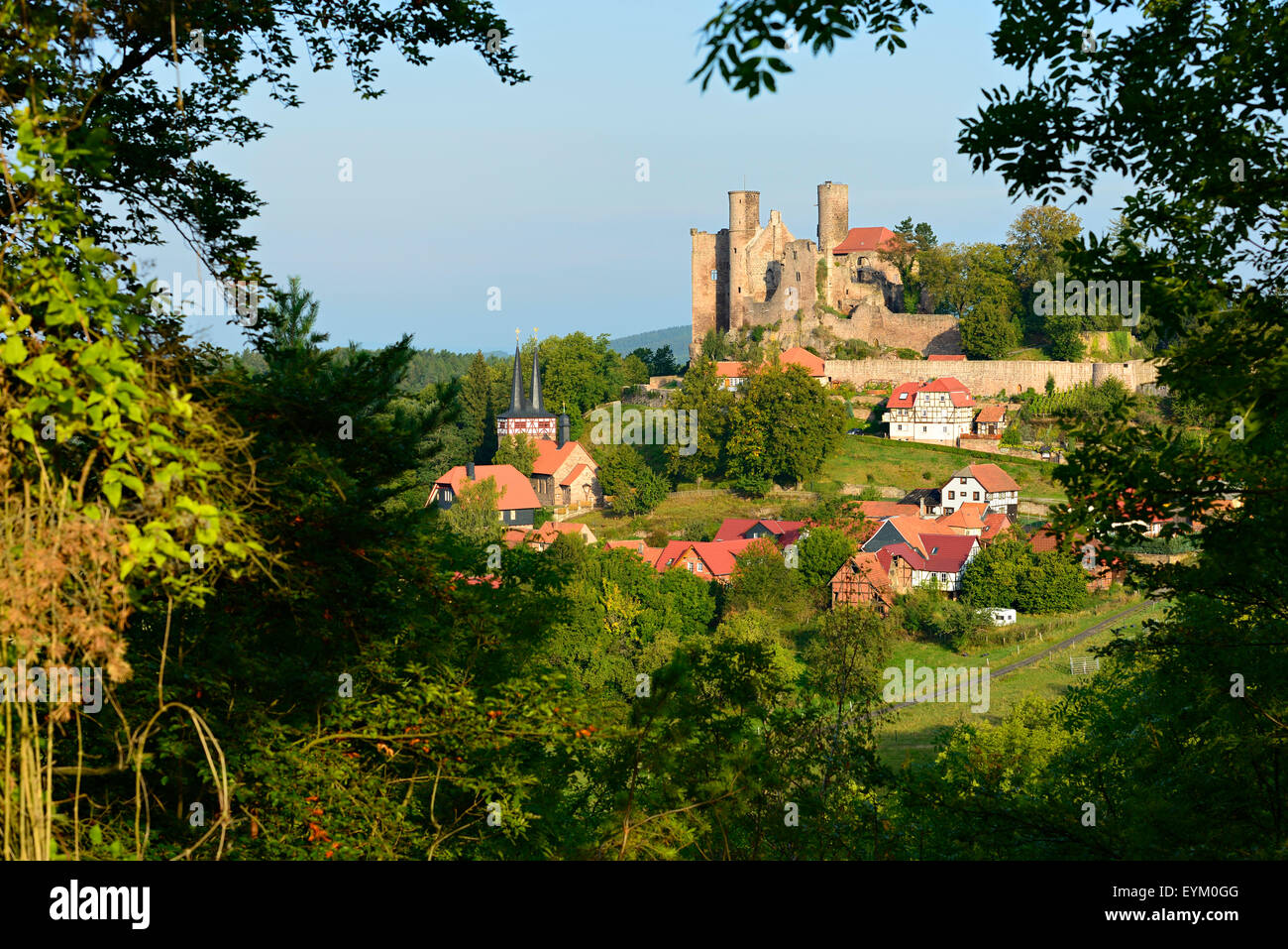Eichs hi-res stock photography and images - Alamy