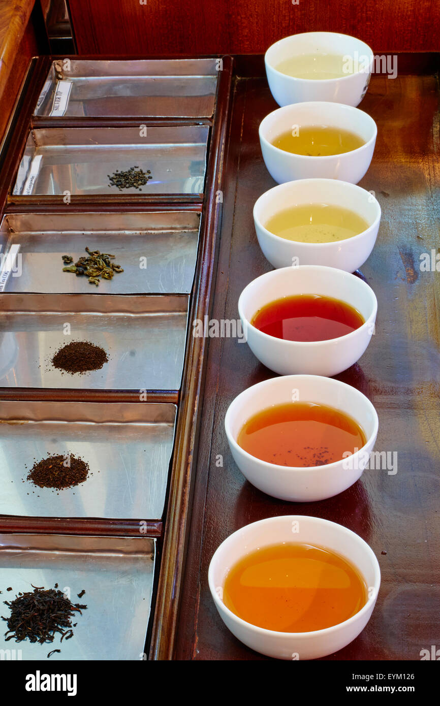 Sri Lanka, Ceylon, Central Province, Nuwara Eliya, tea tasting Stock ...