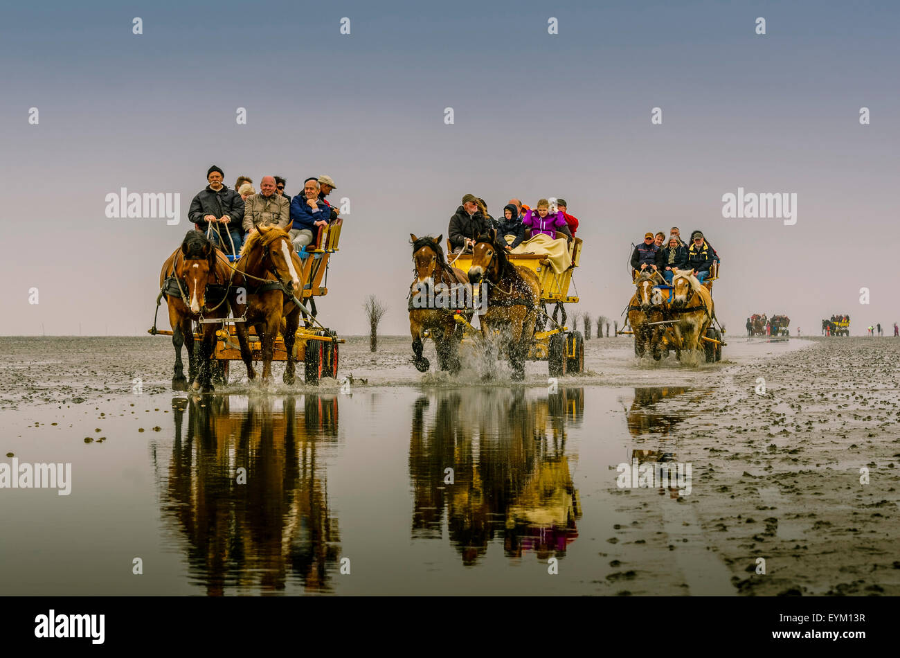 Germany, Lower Saxony, East Friesland, Cuxhaven, new plant, mud flats, wadden sea, carriage, Stock Photo