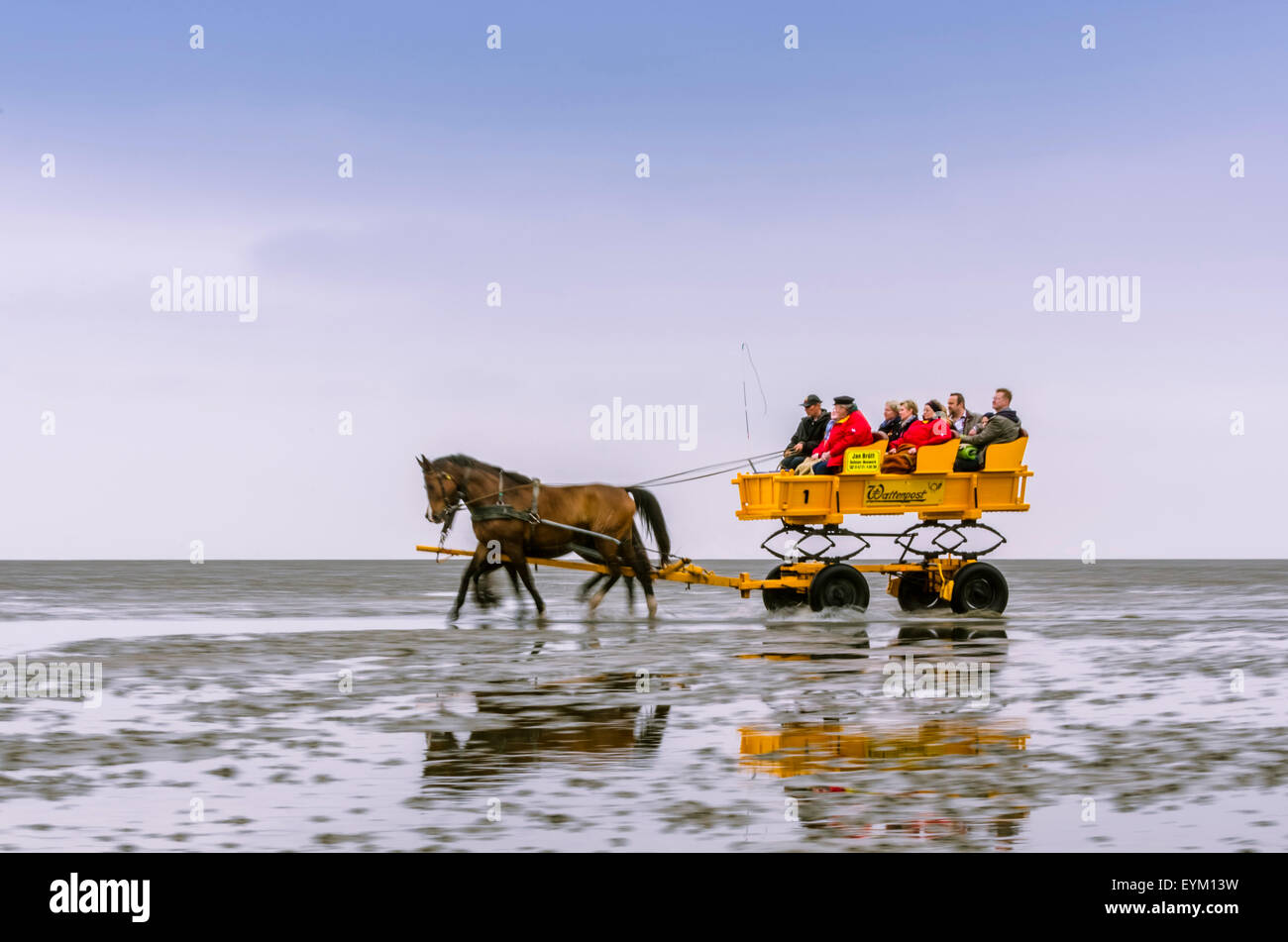 Germany, Lower Saxony, East Friesland, Cuxhaven, new plant, mud flats, wadden sea, carriage, Stock Photo