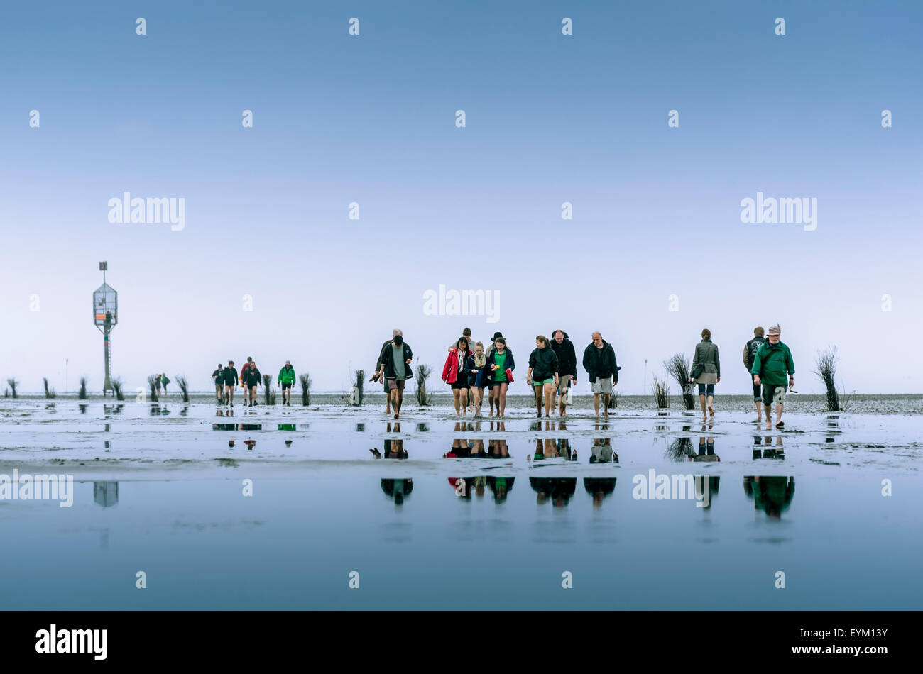 Germany, low things, new plant, Cuxhaven, wadden sea, mud flats, team, person, walk, Stock Photo