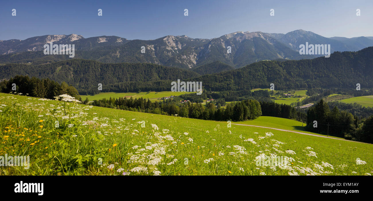 Sengsengebirge of the mountain Tam, high Nock, Windischgarsten, northern lime Alps, Upper Austria, Austria, Stock Photo