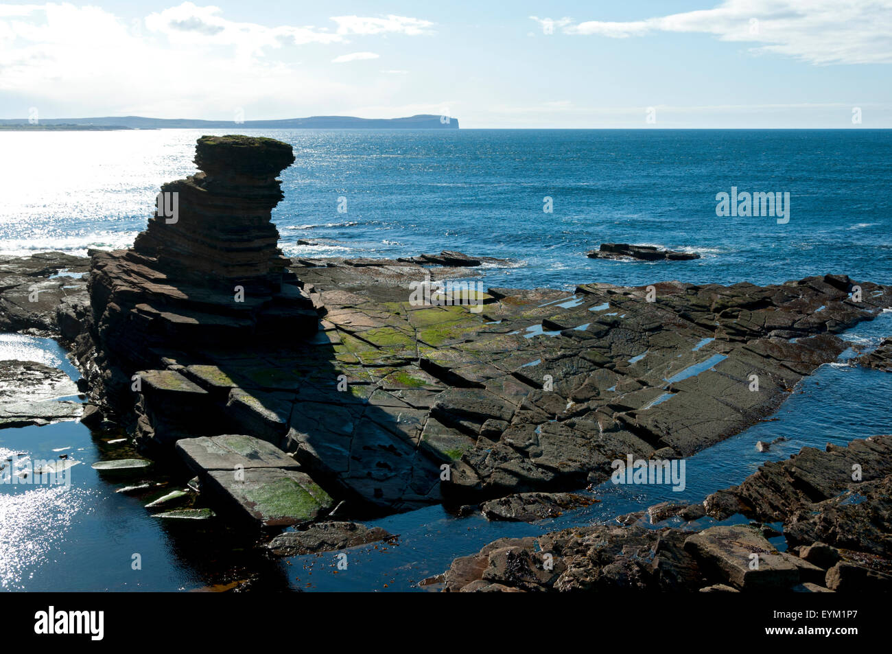 One of the Men of Mey sea stacks at St. John's Point, on the north coast of Caithness, Scotland, UK.  Dunnet Head behind. Stock Photo