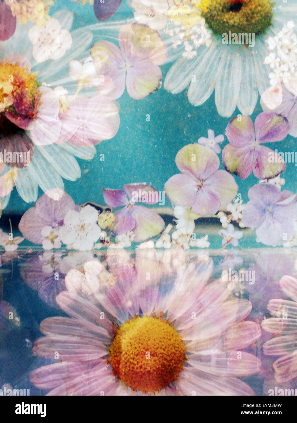 Composing of blossoms and water Stock Photo Alamy