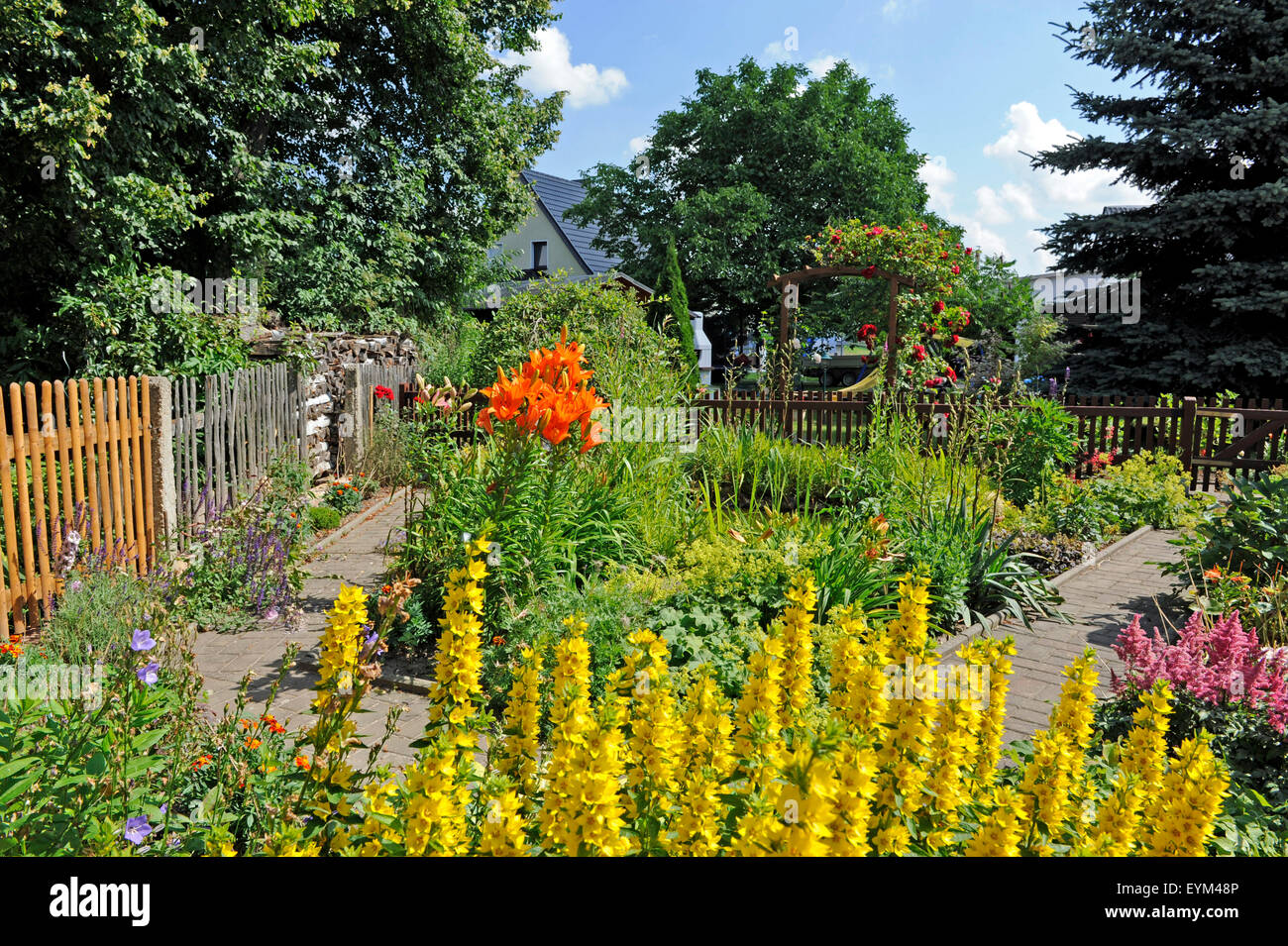 Of Romantic Cottage Gardens With Blossoming Summer Flowers And
