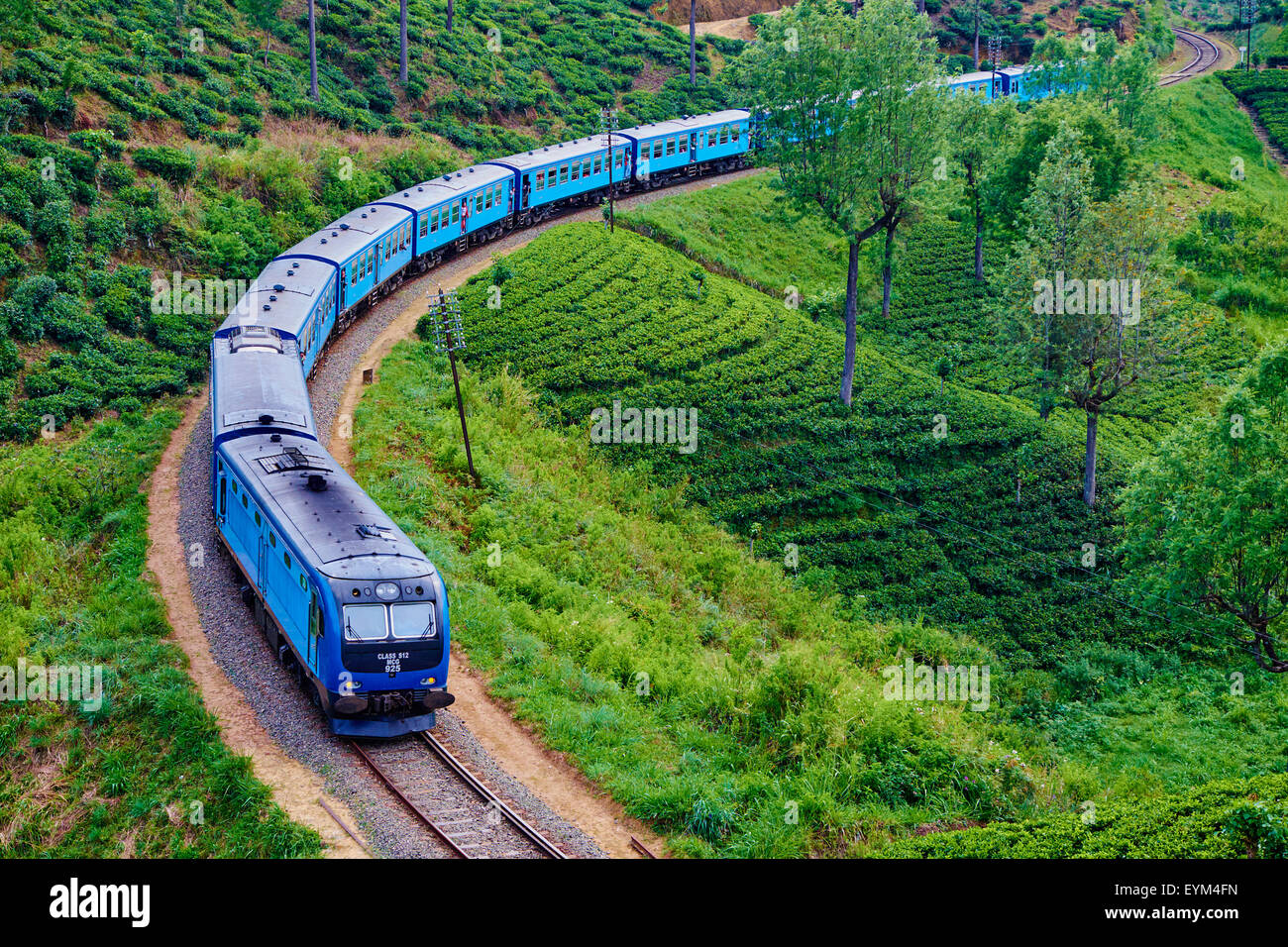 Sri Lanka, Ceylon, Central Province, Nuwara Eliya, train in the tea plantation Stock Photo