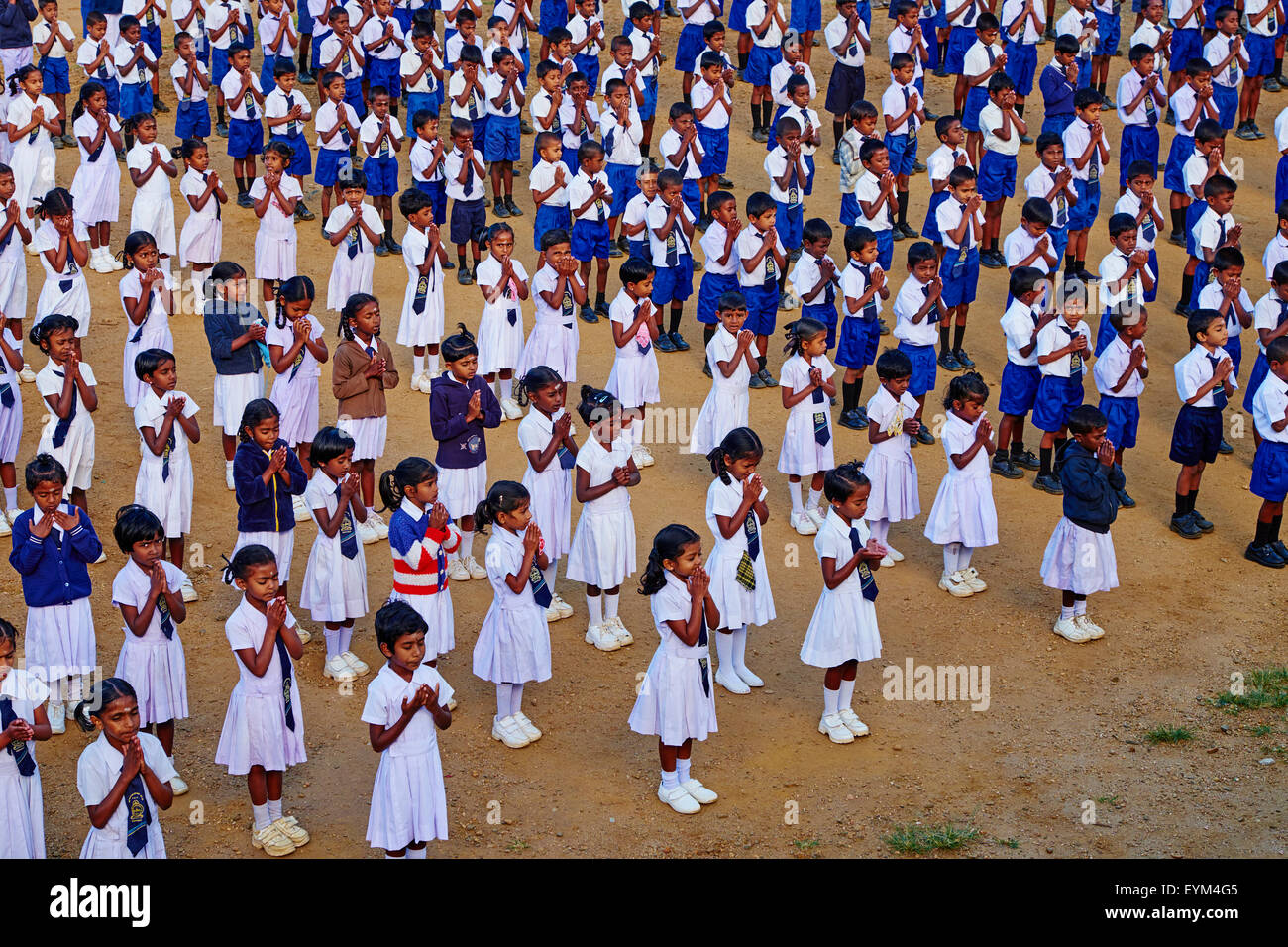 Sri Lanka, Ceylon, Central Province, Haputale, Dambatenna, Lipton's seat, shcool Stock Photo