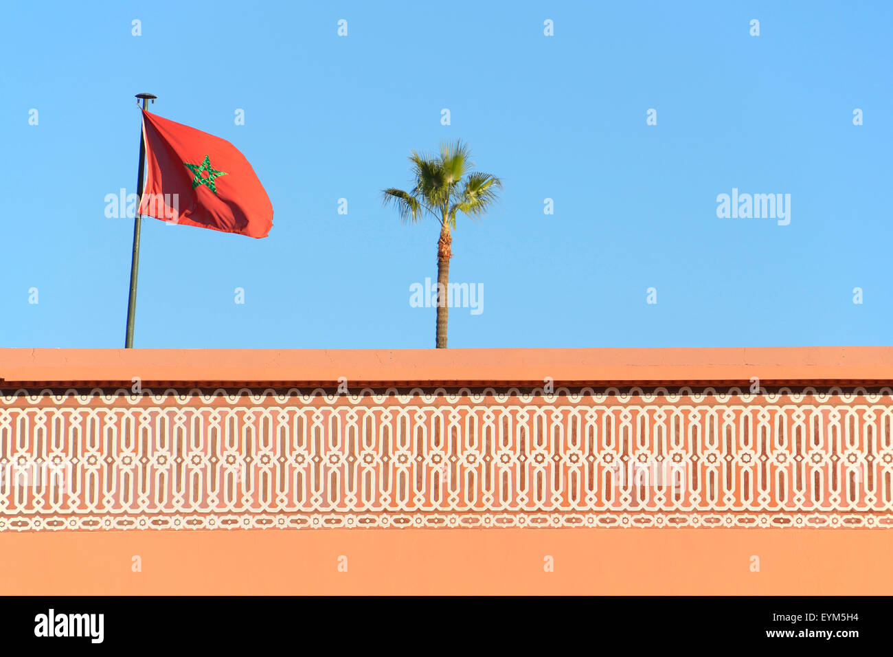 Moroccan flag, wall, palm, Marrakech, Morocco, Stock Photo