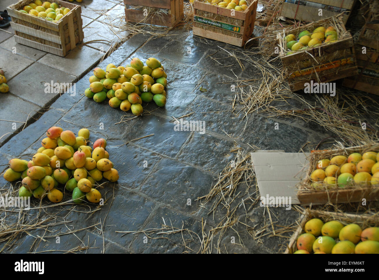 Mangoes, Mumbai, Maharashtra, India Stock Photo Alamy
