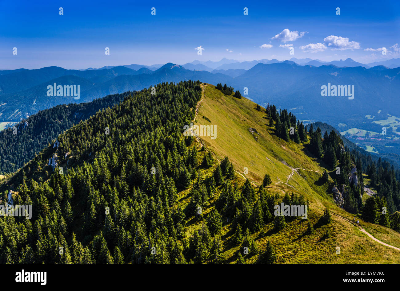 Germany, Bavaria, Upper Bavaria, Tölzer Land (area), Isarwinkel (region), Lenggries, Brauneck