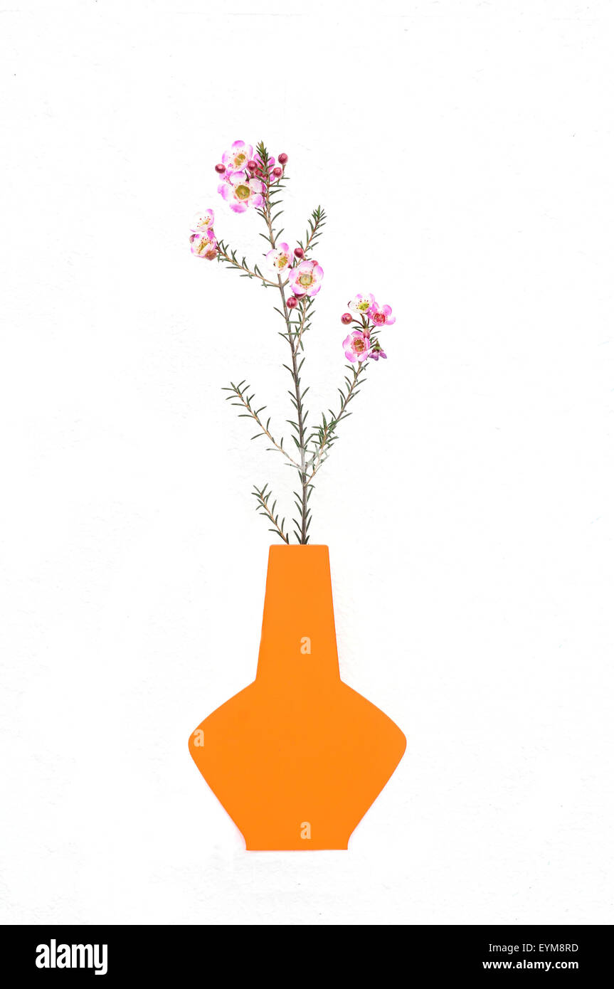 Blume in Vase, Stock Photo