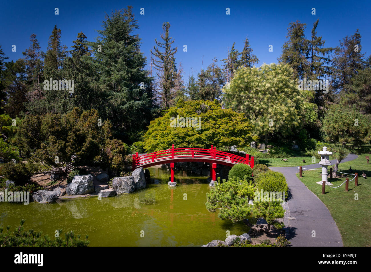 japanese friendship garden, kelley park, san jose, california stock