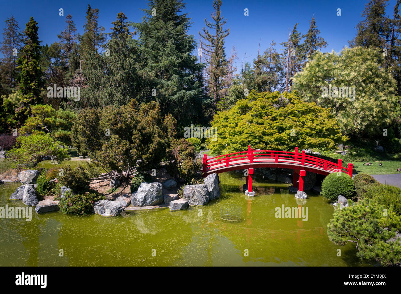 Japanese Friendship Garden Kelley Park San Jose California