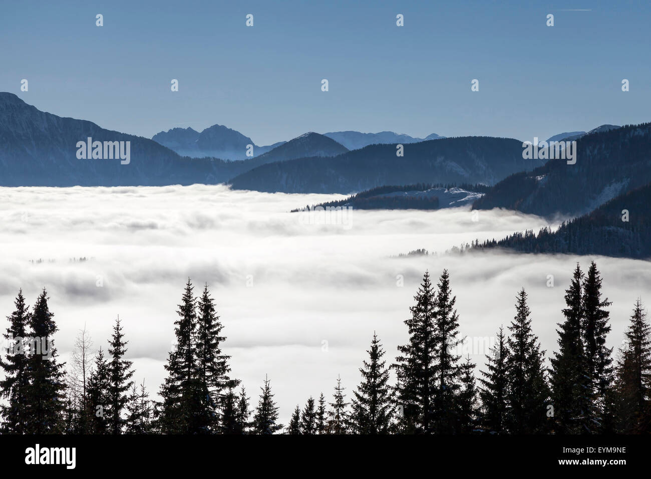 Alpen mit Wolken im Tal Stock Photo