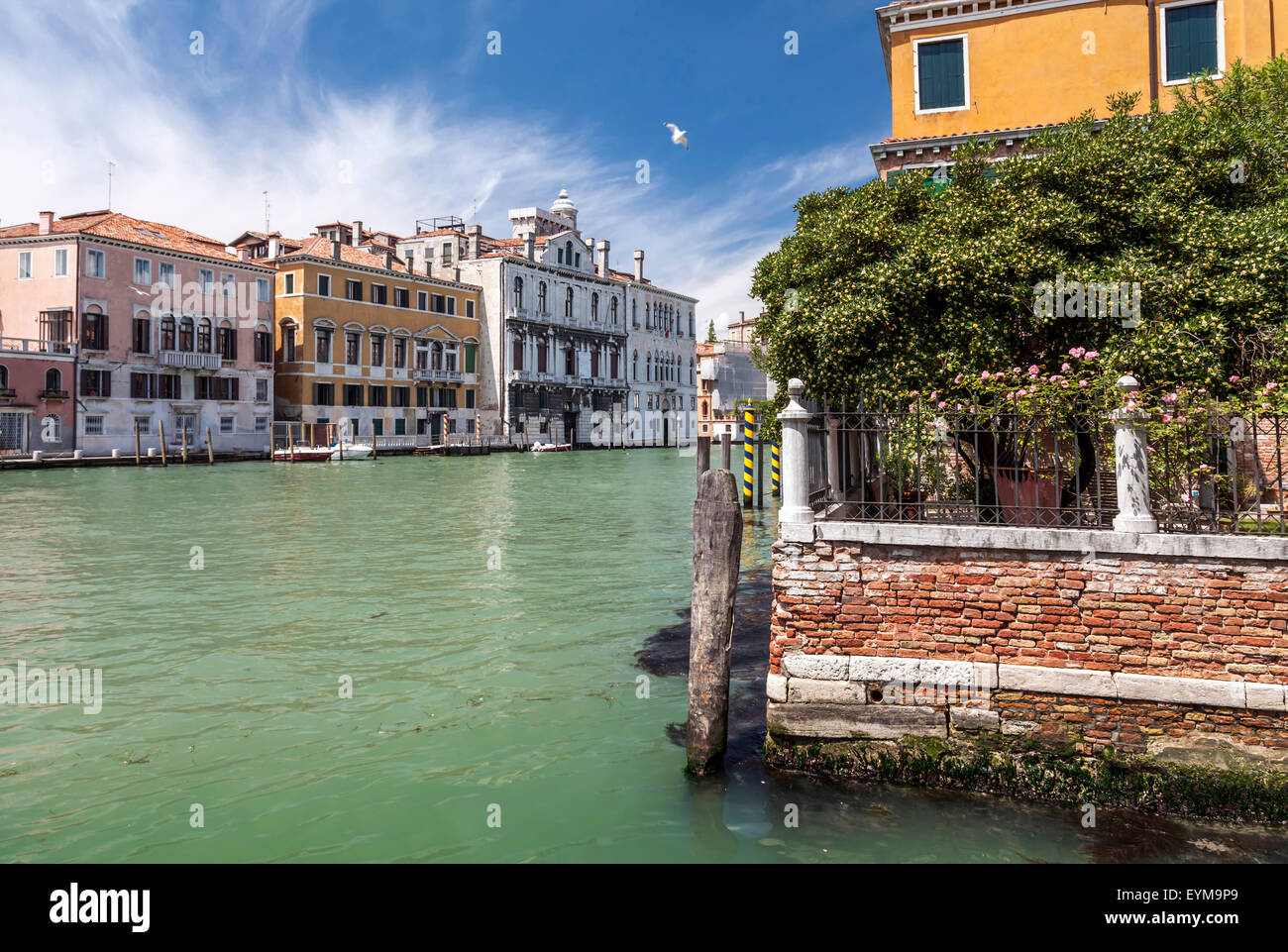 Canale Grande in Venedig Stock Photo