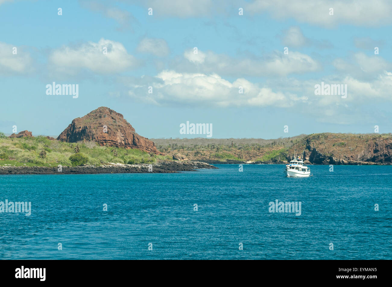 South Plaza Island, Galapagos Islands, Ecuador Stock Photo