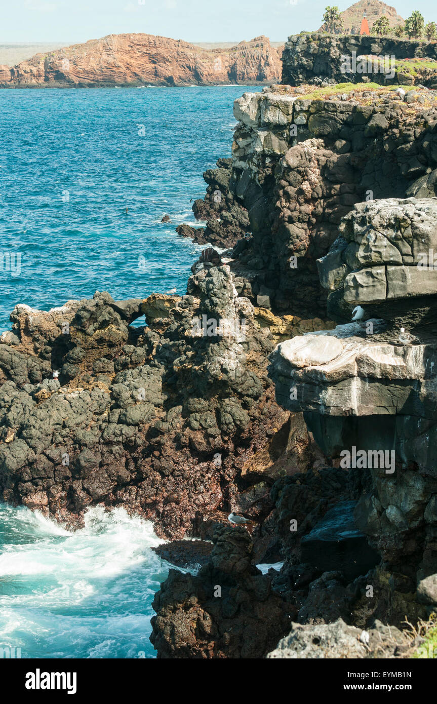 South Plaza Island, Galapagos Islands, Ecuador Stock Photo