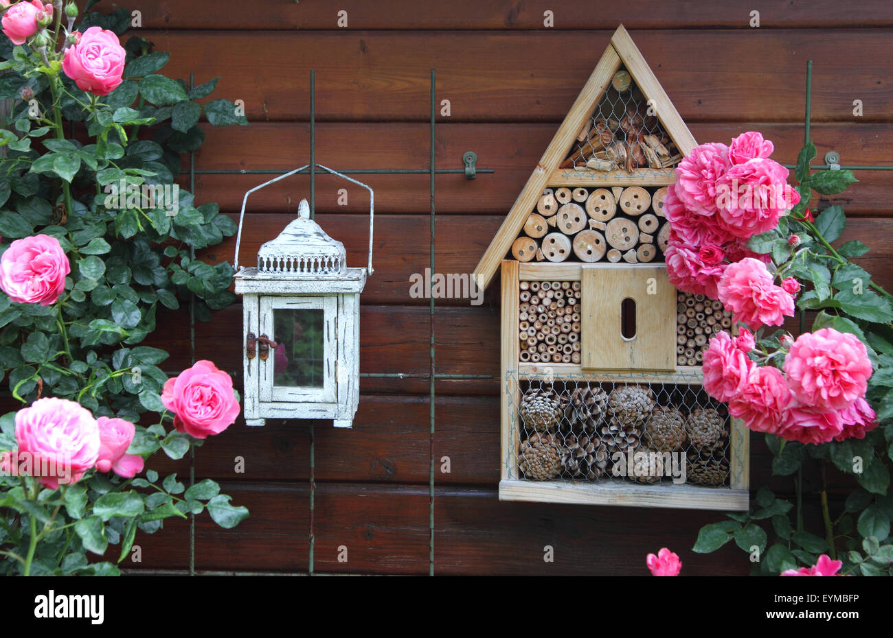Summer house with rosebush and bug house Stock Photo Alamy