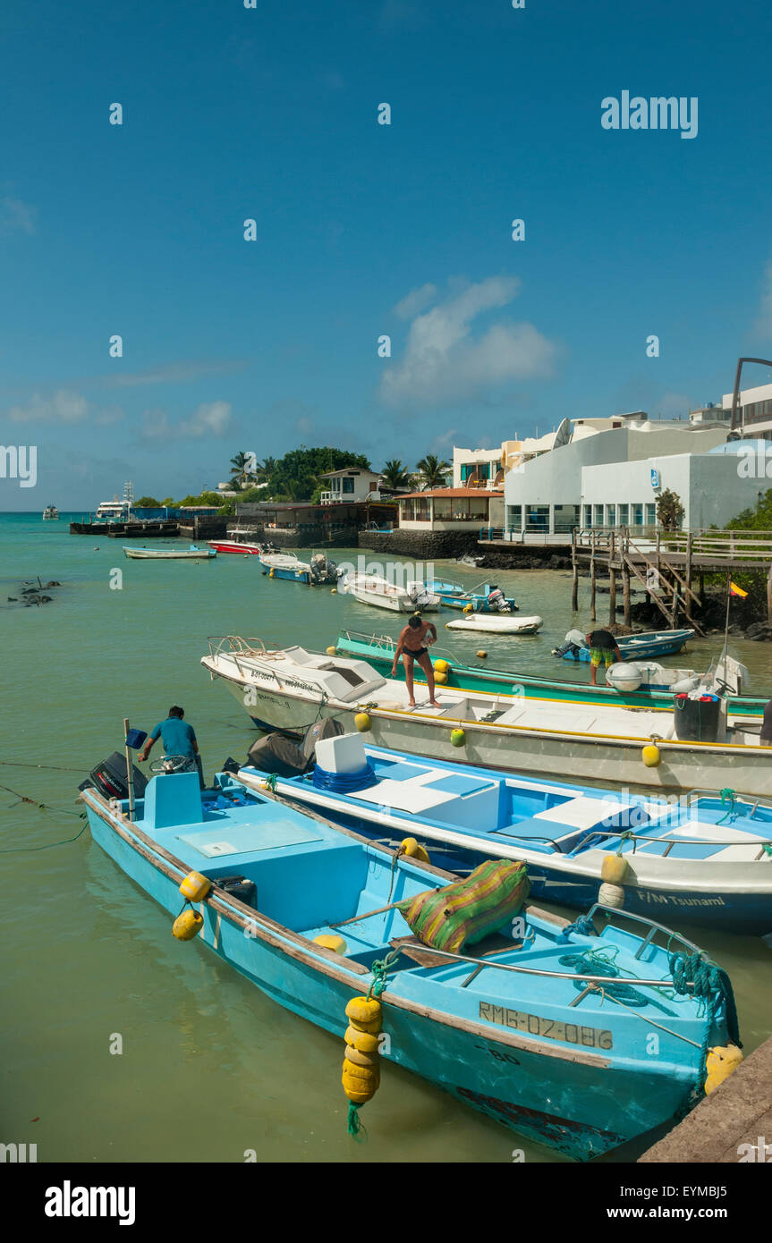 Fishing Harbour, Puerto Aroya, Santa Cruz, Galapagos Islands, Ecuador Stock Photo
