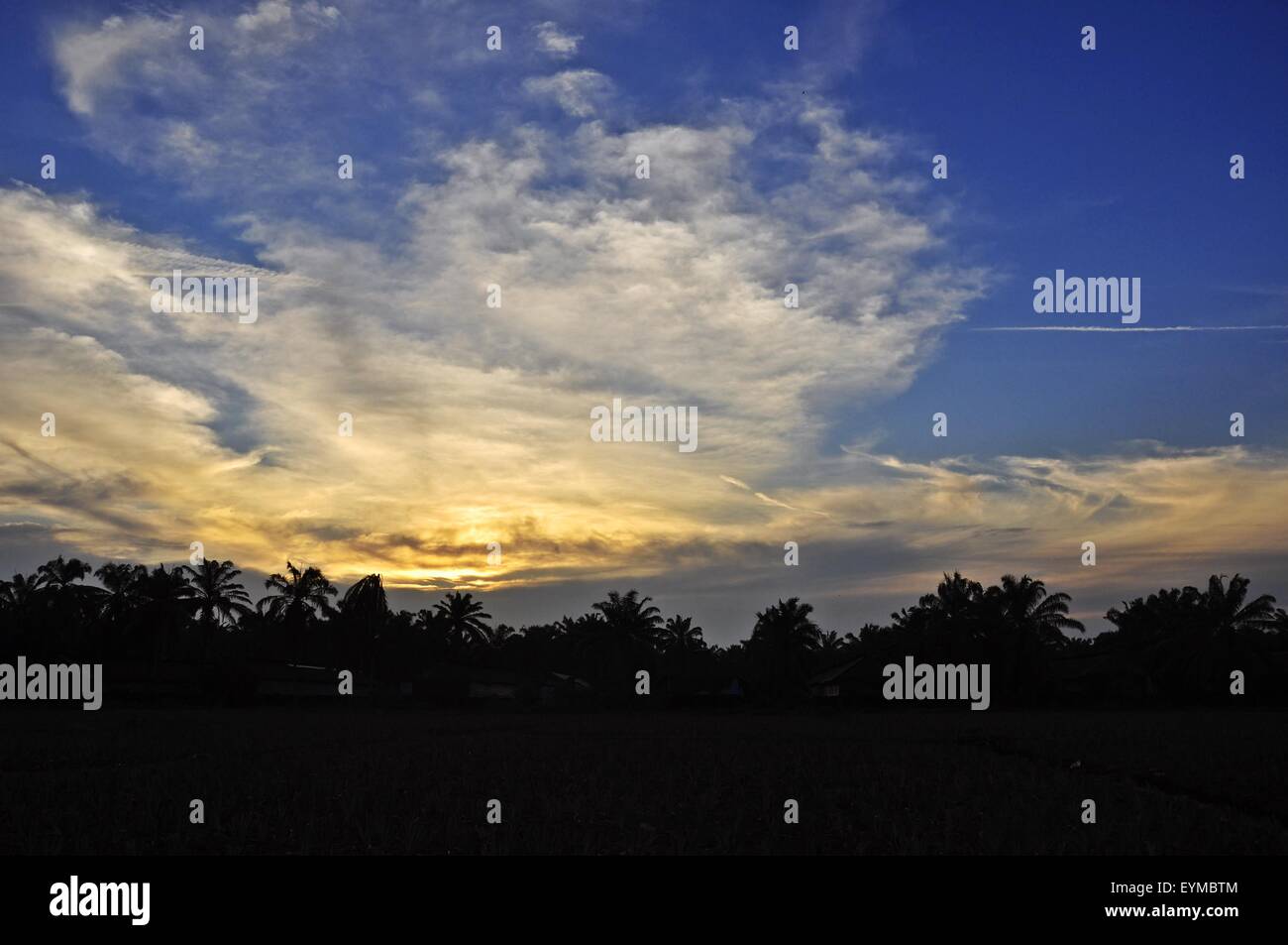 beautiful sunset in the countryside Stock Photo