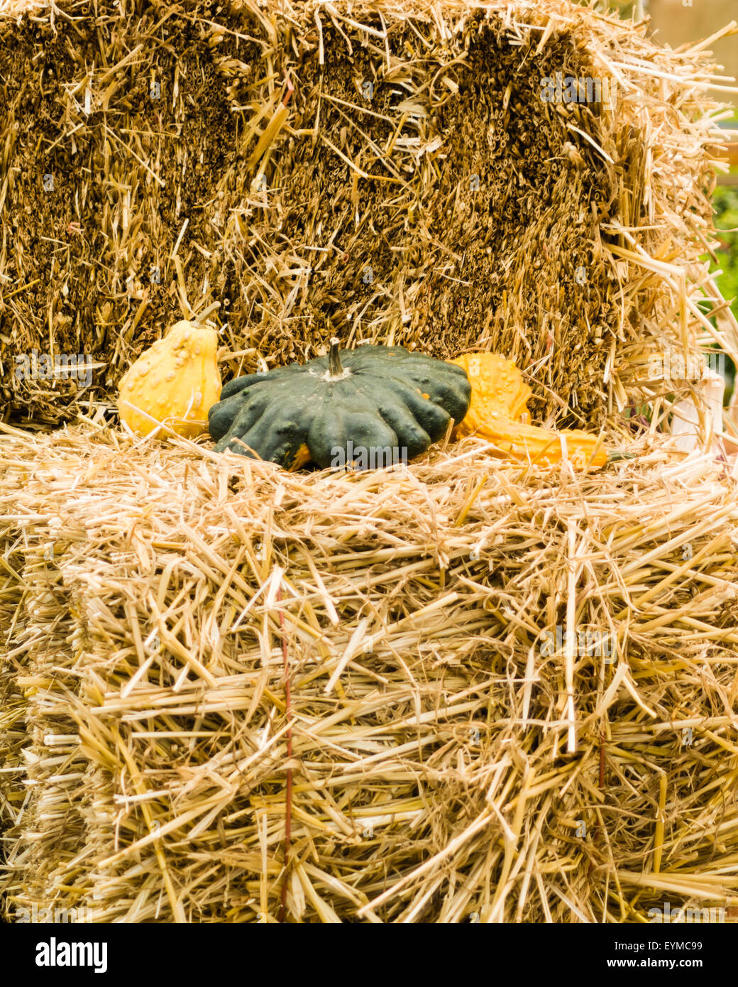 Display of hay bales with gourds Stock Photo